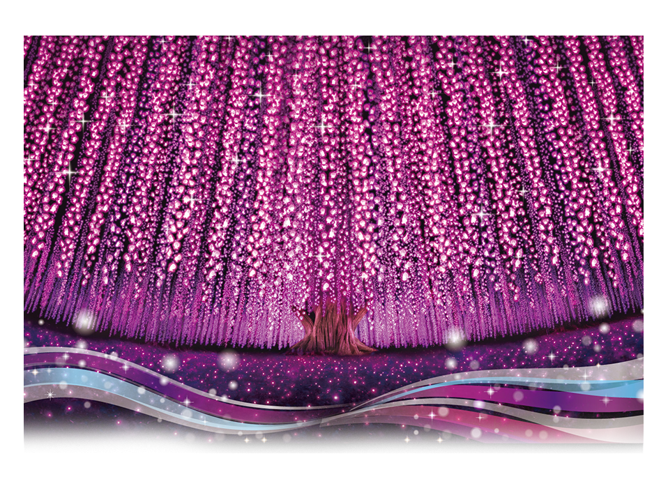 光與香的感動體驗　被春季大藤花香氣包圍的「奇蹟大藤」