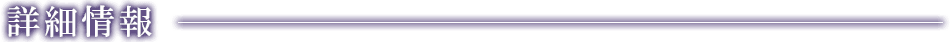 詳細情報