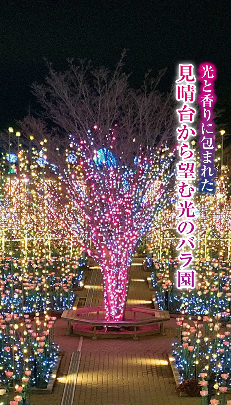 光のバラ園
