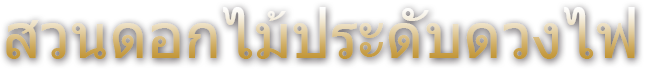 ทางตะวันออกของญี่ปุ่นมีการประดับดวงไฟที่ใหญ่ที่สุดถึง 4.5 ล้านดวง