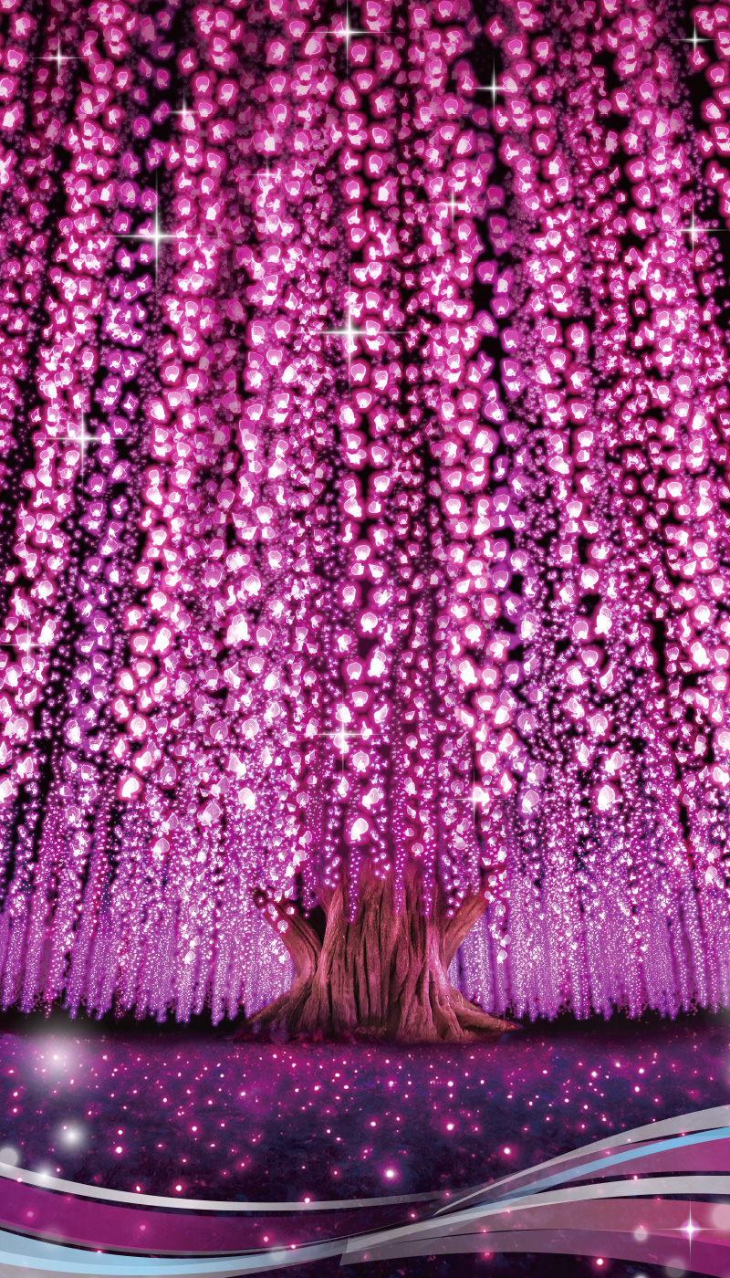 Great Wisteria