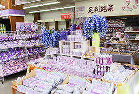 Souvenir Shop