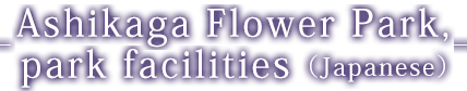Ashikaga Flower Park, park facilities