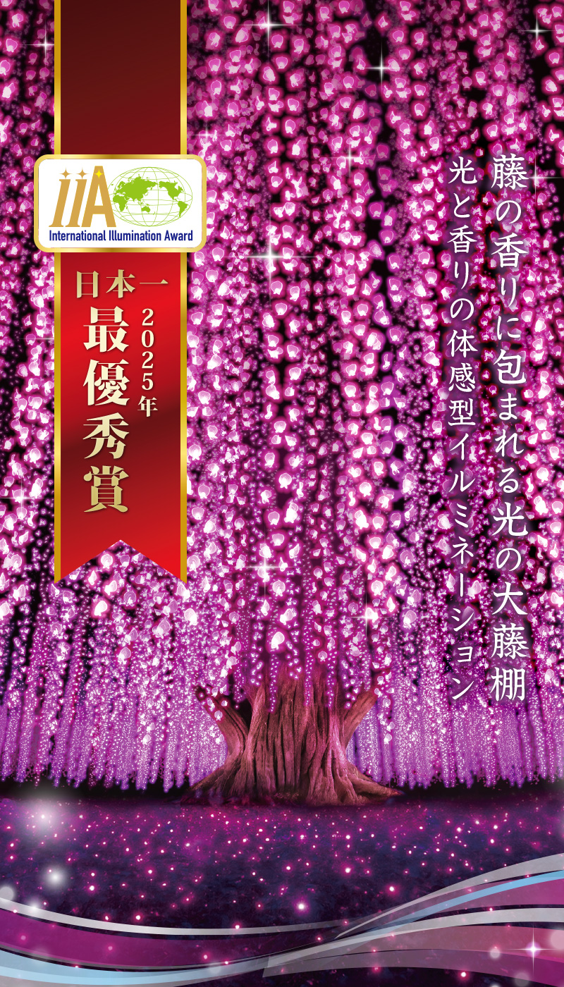 奇蹟の大藤