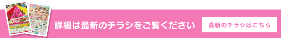 最新のチラシはこちら