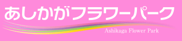 あしかがフラワーパーク