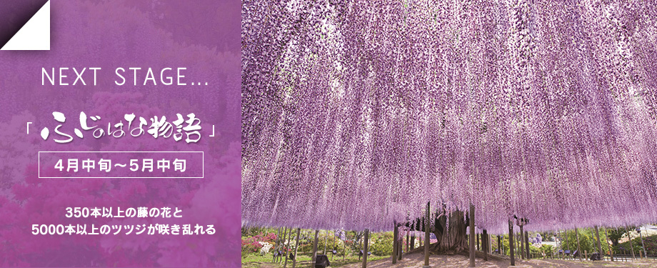 ふじのはな物語