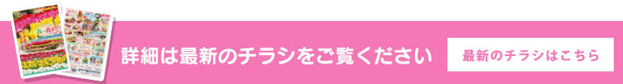 最新のチラシはこちら