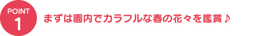 ①まずは園内でカラフルな春の花々を鑑賞♪
