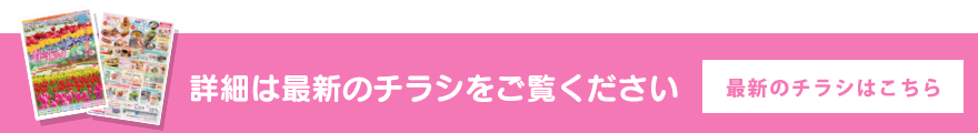 最新のチラシはこちら