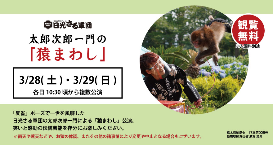 日光猿軍団　太郎次郎一門の「猿まわし」3/15（土）・3/16（日）