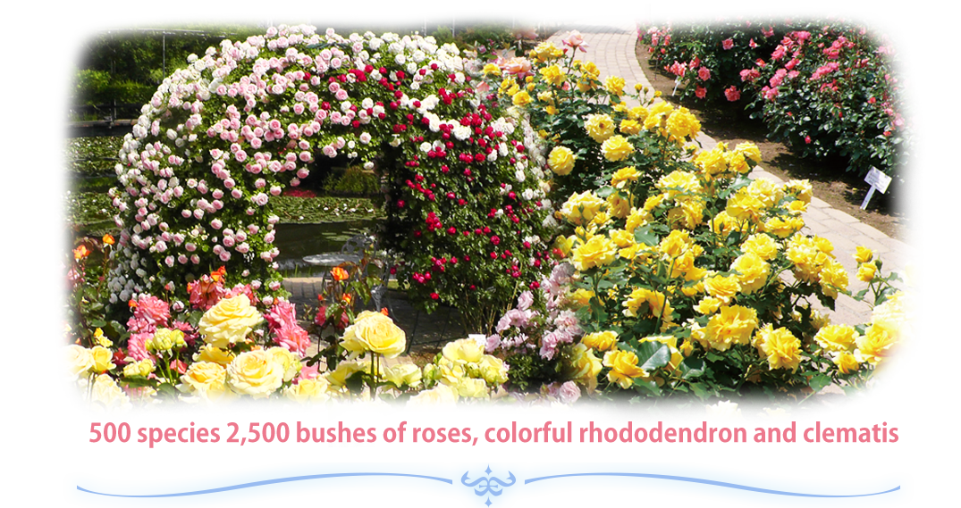 This spring, a new garden is opening! The Rainbow Garden