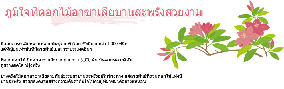 ภูมิใจที่ดอกไม้อาซาเลียบานสะพรั่งสวยงาม มีดอกอาซาเลียหลากหลายพันธุ์จากทั่วโลก ซึ่งมีมากกว่า 1,000 ชนิด แต่ที่ญี่ปุ่นเท่านั้นที่มีสายพันธุ์เยอะกว่าประเทศอื่นๆ ที่สวนดอกไม้ มีดอกอาซาเลียบานมากกว่า 5,000 ต้น มีหลากหลายสีสัน ดูสว่างสดใส ฟรุ้งฟริ้ง บางครั้งก็มีดอกอาซาเลียสายพันธุ์ธรรมดาบานสะพรั่งอยู่ริมข้างทาง แต่สายพันธ์ที่สวนดอกไม้แห่งนี้ บานสะพรั่ง สวยสดงดงามสร้างความตื่นตาตื่นใจให้กับผู้ที่มาชมได้อย่างแน่นอน