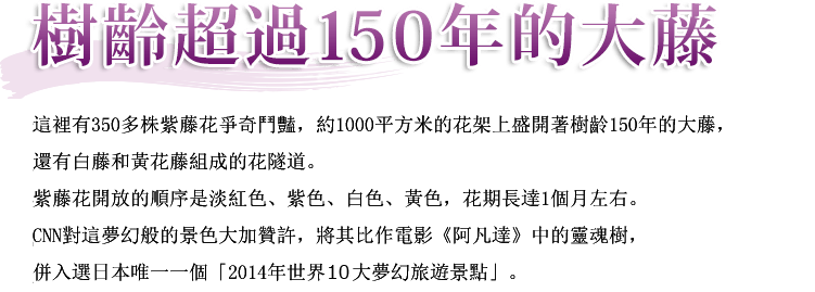 樹齡150年的大藤 這裡有350多株紫藤花爭奇鬥豔，約1000平方米的花架上盛開著樹齡150年的大藤，還有白藤黃花藤組成的花隧道。紫藤花開放的順序是淡紅色、紫色、白色、黃色，花期長達1個月左右。CNN對這夢幻般的景色大加贊許，將其比作電影《阿凡達》中的靈魂樹，併入選日本唯一一個「2014年世界10大夢幻旅遊景點」。
