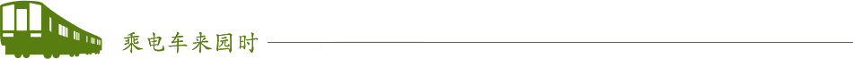 乘电车来园时
