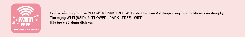 Có thể sử dụng dịch vụ "FLOWER PARK FREE Wi-Fi" do hoa viên Ashikaga cung cấp mà không cần đăng ký.