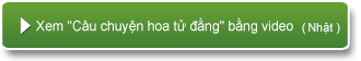Xem "Câu chuyện hoa tử đằng" bằng video