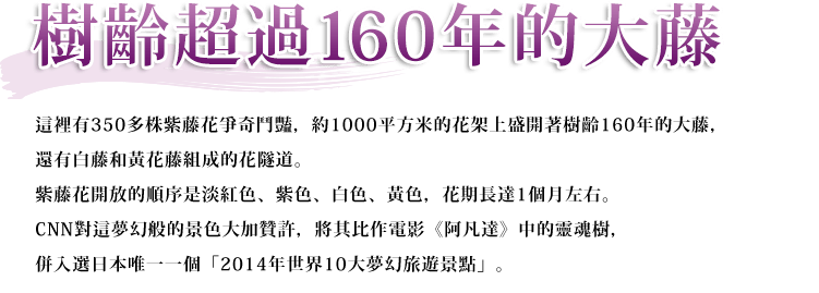 樹齡160年的大藤 這裡有350多株紫藤花爭奇鬥豔，約1000平方米的花架上盛開著樹齡160年的大藤，還有白藤黃花藤組成的花隧道。紫藤花開放的順序是淡紅色、紫色、白色、黃色，花期長達1個月左右。CNN對這夢幻般的景色大加贊許，將其比作電影《阿凡達》中的靈魂樹，併入選日本唯一一個「2014年世界10大夢幻旅遊景點」。