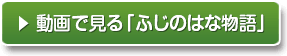 ? 動画で見る「ふじのはな物語」