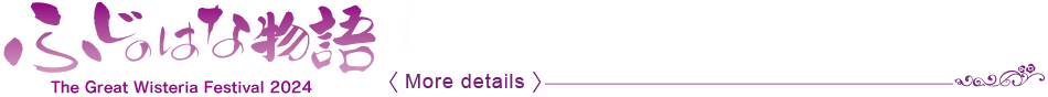 A Tale of the Wisteria　～The Great Wisteria Festival 2024～ 〈More details〉
