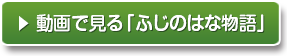 ? 動画で見る「ふじのはな物語」