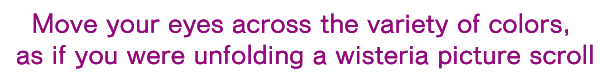 Move your eyes across the variety of colors, as if you were unfolding a wisteria picture scroll