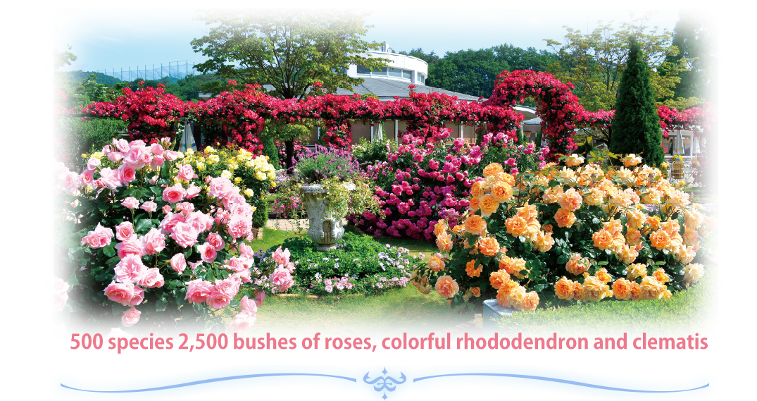 400 species 2,500 bushes of roses, colorful rhododendron and clematis