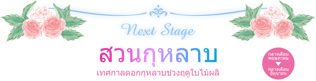 สวนกุหลาบ เทศกาลดอกกุหลาบช่วงฤดูใบไม้ผลิ