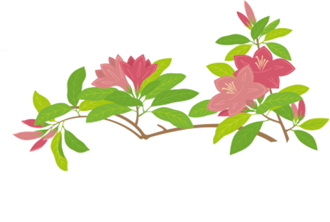 The splendid view of blooming azaleas