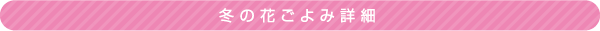 冬の花ごよみ詳細