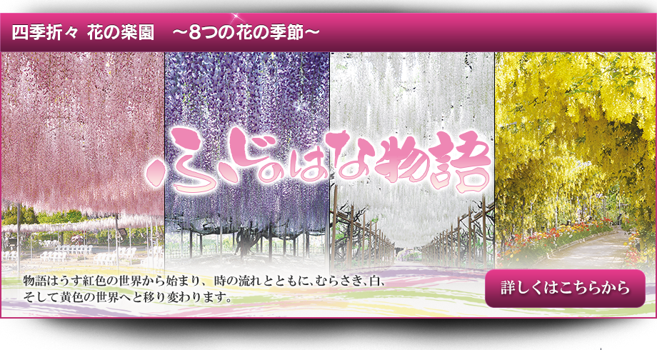 四季折々 花の楽園　～8つの花の季節～
