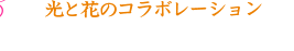 光と花のコラボレーション ～光とアメジストセージの融合～
