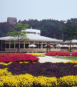 あしかがフラワーパーク