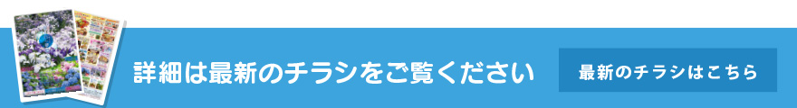 最新のチラシはこちら