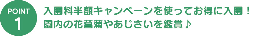 ①入園料半額キャンペーンを使ってお得に入園!園内の花菖蒲やあじさいを鑑賞♪
