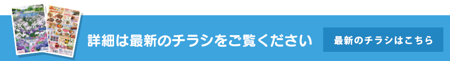 最新のチラシはこちら