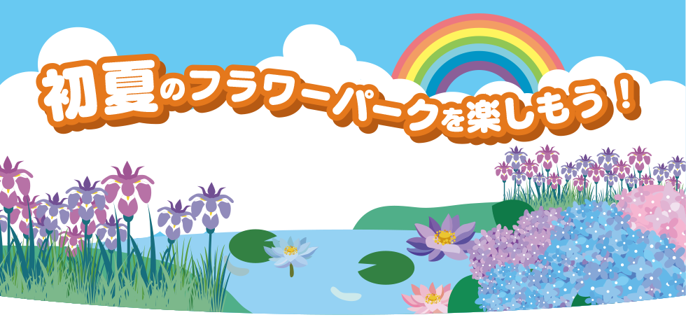 初夏のフラワーパークを楽しもう