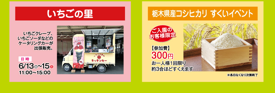 いちごの里　日光プリン亭