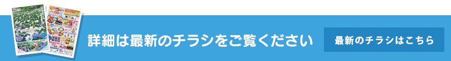 最新のチラシはこちら