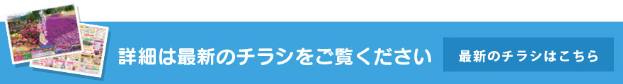 最新のチラシはこちら
