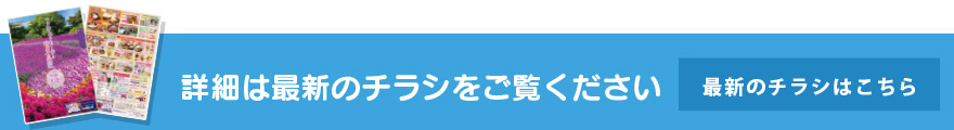 最新のチラシはこちら