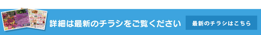最新のチラシはこちら