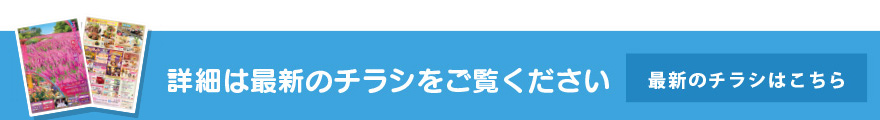 最新のチラシはこちら