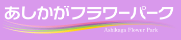あしかがフラワーパーク