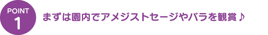 ①まずは園内でアメジストセージやバラを鑑賞入園料割引キャンペーンを使ってお得に入園♪