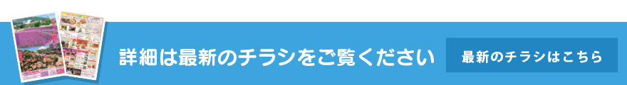 最新のチラシはこちら