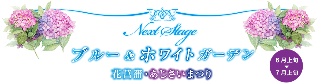 花菖蒲、あじさいまつり！ブルー＆ホワイトガーデン