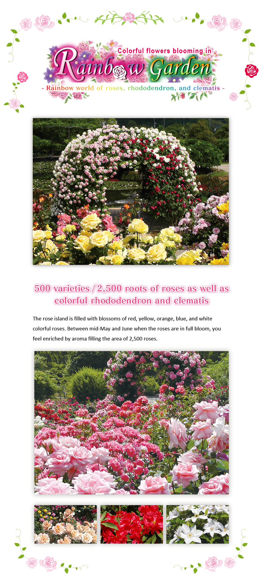 What Flowers Bloom In May And June Best Flower Site