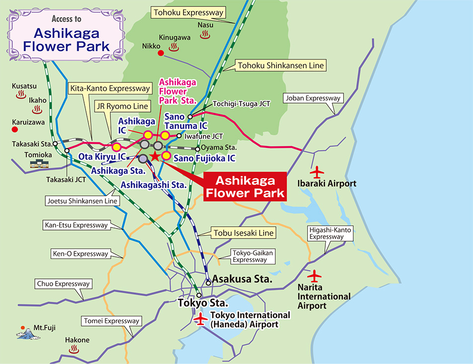Rose Garden in spring 2020 | Ashikaga Flower Park