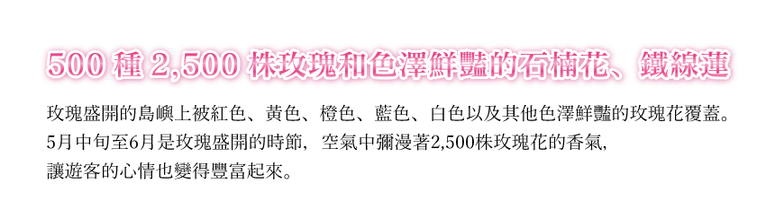 500種2,500株玫瑰和色澤鮮豔的石楠花、鐵線蓮